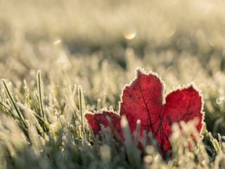 ¡Llegó el invierno!... ¿y qué pasará con el tiempo?