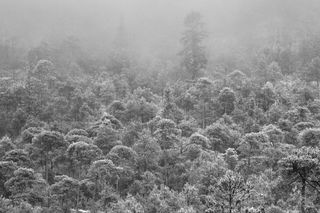 Llegó la navidad con nieve y frío al Valle de México