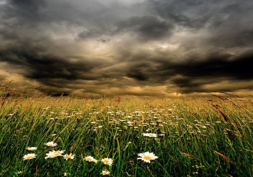 &iexcl;Lleg&oacute; la primavera meteorol&oacute;gica! M&eacute;xico inicia marzo con calor extremo, vientos y riesgo de incendios