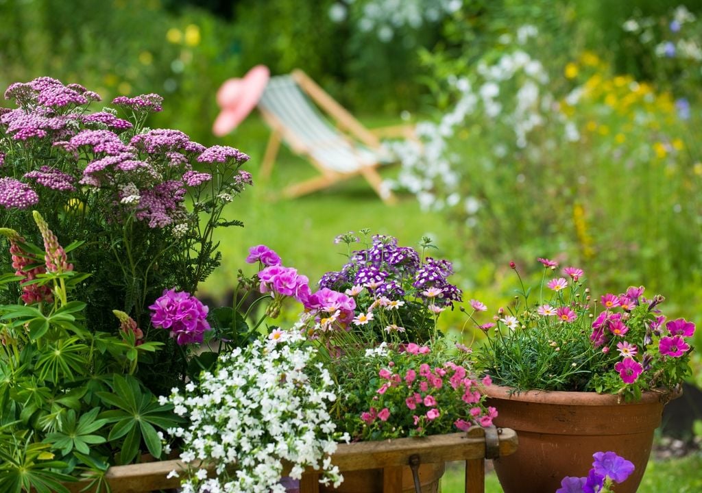 primavera primavera