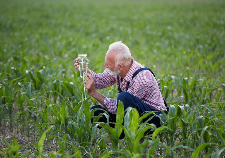 agricultor agricultor