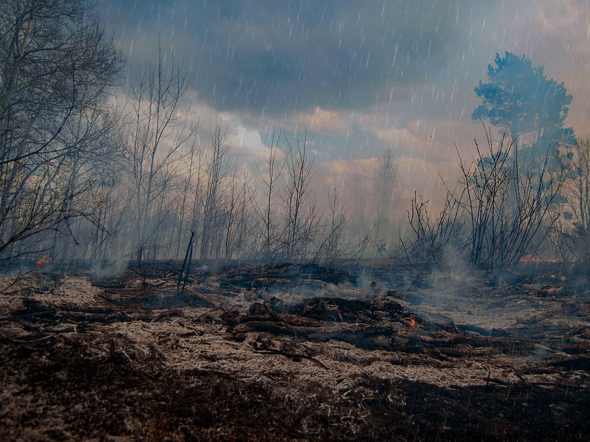 Los incendios forestales podrían provocar que lloviera menos