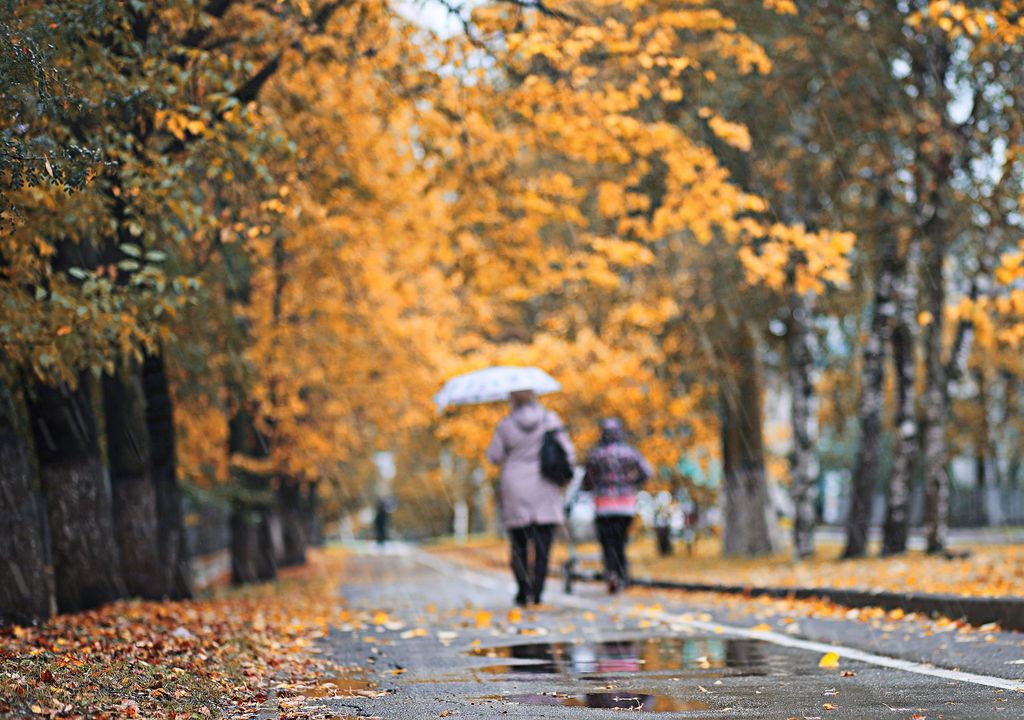 Personas caminando en calle con hojas caídas en día de lluvia