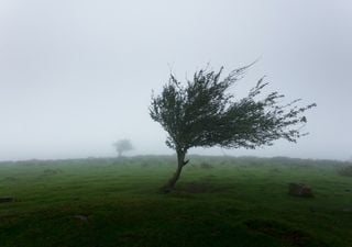 Lluvia, viento y frío, el temporal que afecta al sur de Buenos Aires