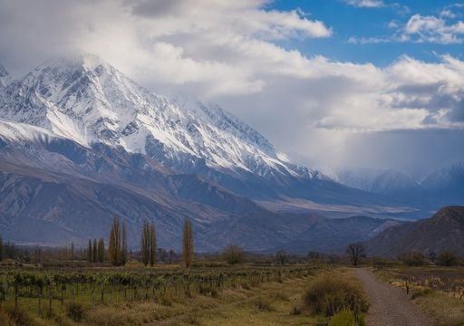 Lluvias en Cuyo y nevadas en la cordillera: as&iacute; ser&aacute; el tiempo en Argentina durante la &uacute;ltima semana de agosto