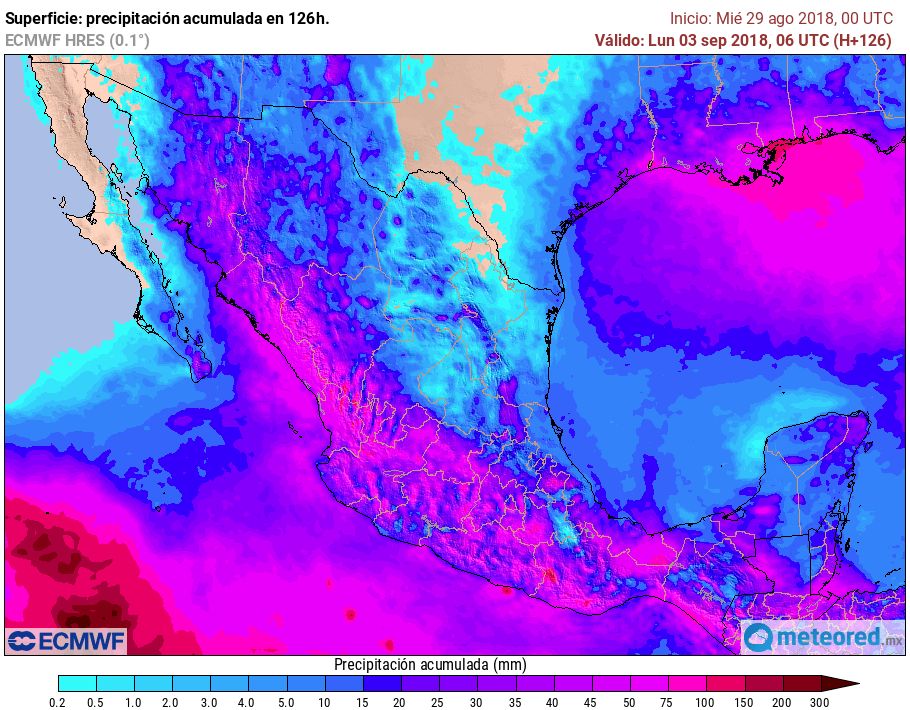 ECMWF ECMWF