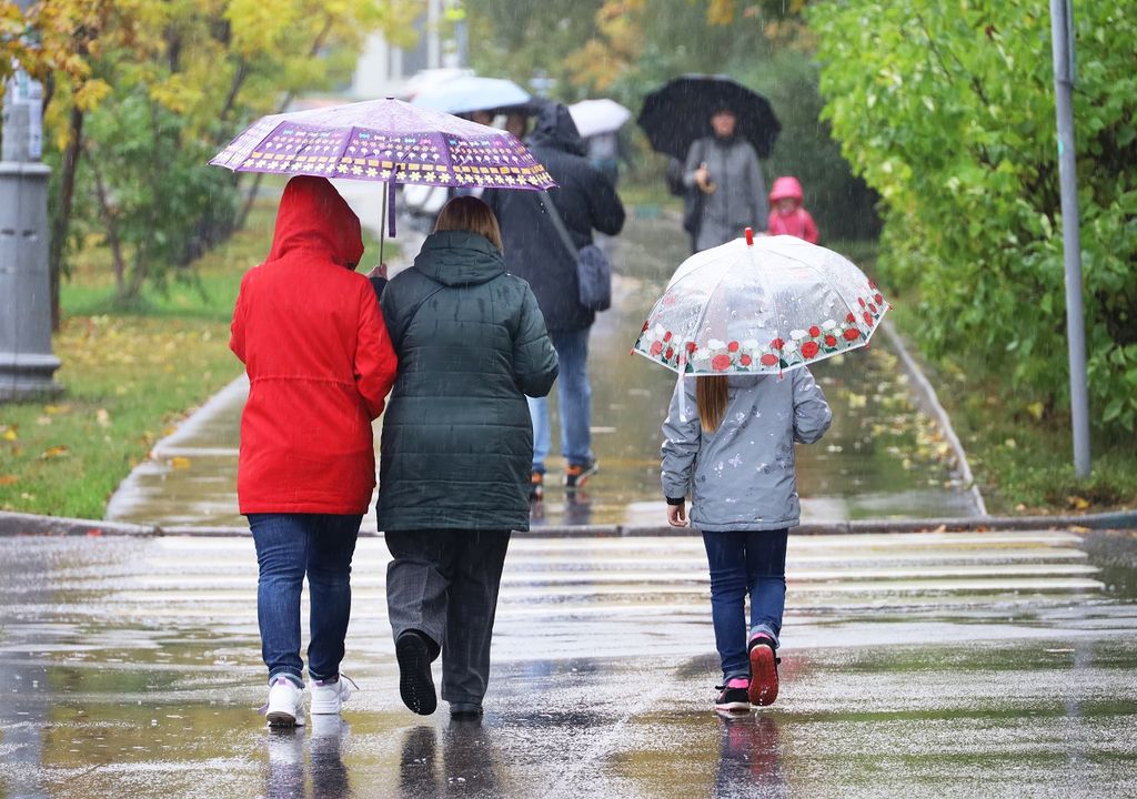 personas caminando con paraguas bajo la lluvia