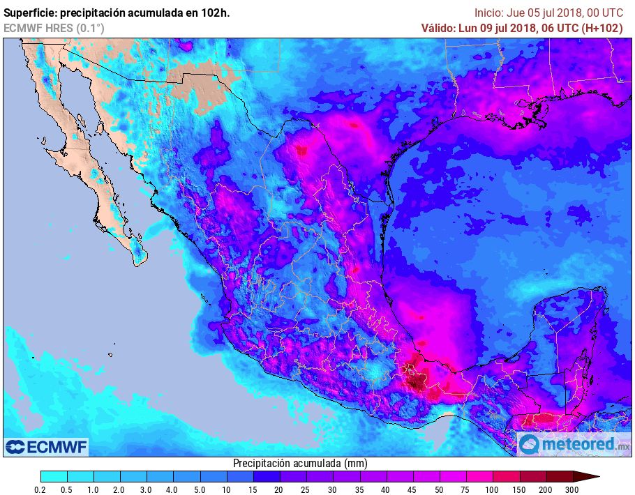 ECMWF ECMWF