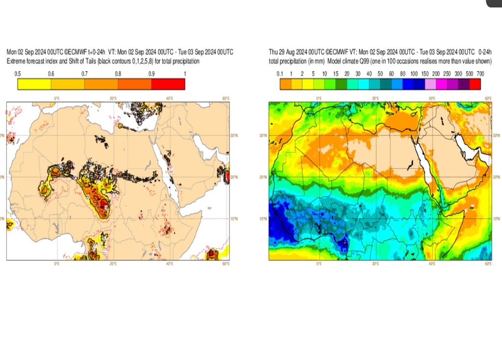 ECMWF lluvias