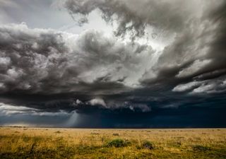 Lluvias históricas en Formosa afectan al agro: mas de 400 mm en una noche y graves anegamientos en Palo Santo y Perín