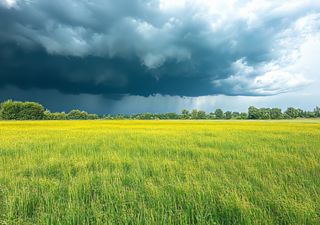 Lluvias intensas redefinen la campaña agrícola: trigo bajo riesgo y maíz temprano con el mejor arranque en años