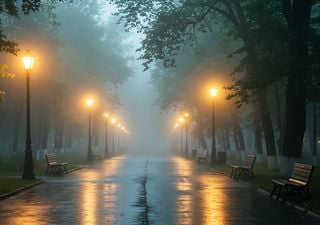 Lluvias invernales van reduciendo sequ&iacute;a en M&eacute;xico: panorama h&uacute;medo se prev&eacute; en pr&oacute;ximas semanas en estas 24 entidades