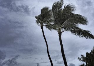 Lluvias torrenciales por giro centroamericano y posible ciclón