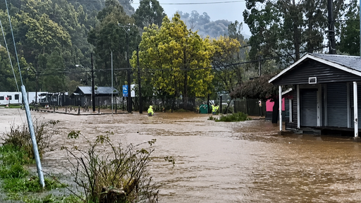 Lluvias, viento y cortes de luz: el r&iacute;o atmosf&eacute;rico deja estragos en La Araucan&iacute;a, Los R&iacute;os y Los Lagos
