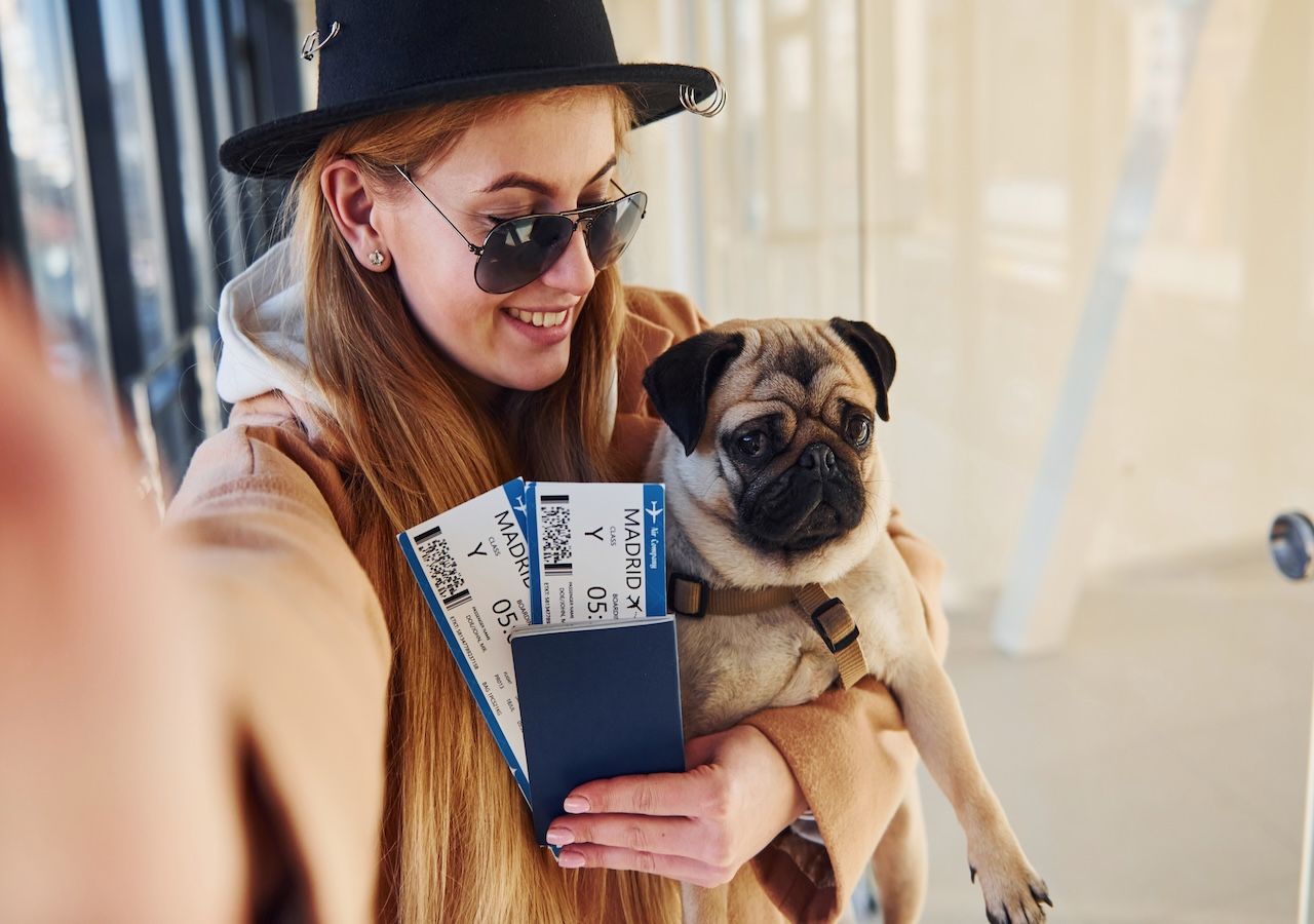 Algunos perros ya viajan con un arnés con GPS incorporado, un accesorio cada vez más utilizado por viajeros que desean monitorizar en tiempo real la localización y el nivel de actividad de su mascota durante los desplazamientos.