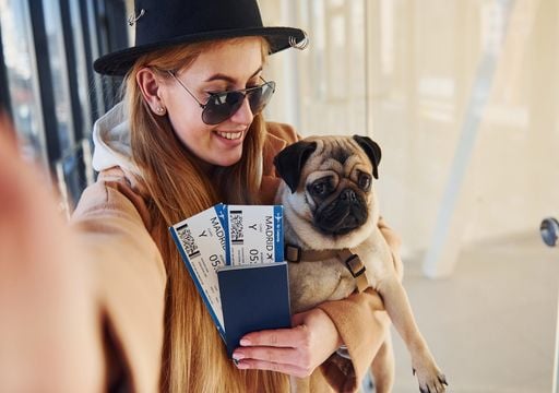 Lo que nadie te dice antes de viajar con mascota: consejos para cuidarlas durante el trayecto