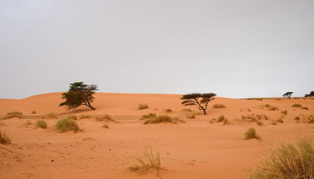 Si tratta di acqua fossile, quindi non più rinnovabile con l’attuale ciclo climatico. La ricarica naturale attuale è quasi inesistente. Quindi una volta prosciugata non si potrà più ricaricare, visto la scarsità di piogge di oggi nell’area del Sahara.