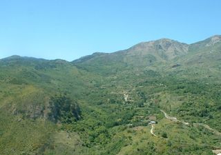 Lo spettacolo naturalistico offerto dalle Madonie, fra alberi rari e rarissimi endemismi