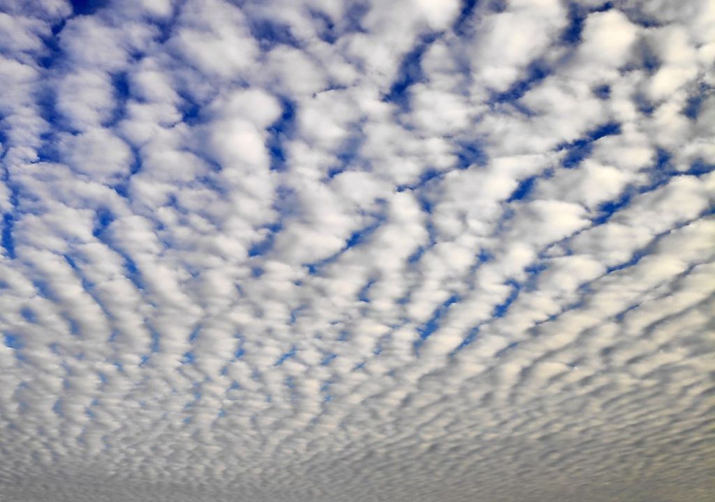 Altocumuli. Altocumuli.