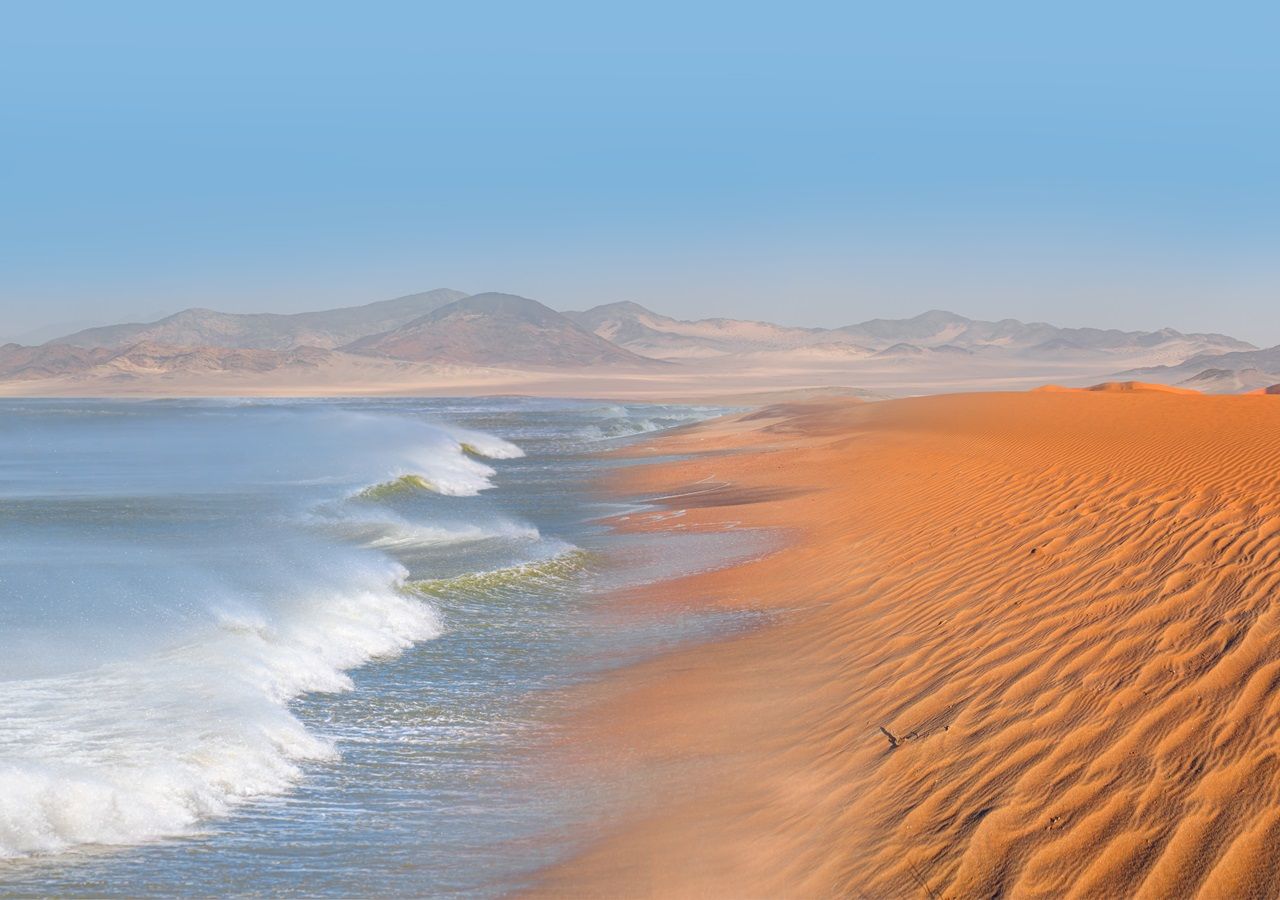 Golden mole that swims through sand is rediscovered in South Africa after  86 years