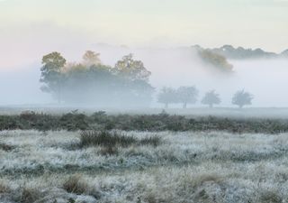 The UK weather outlook for the rest of January 2022