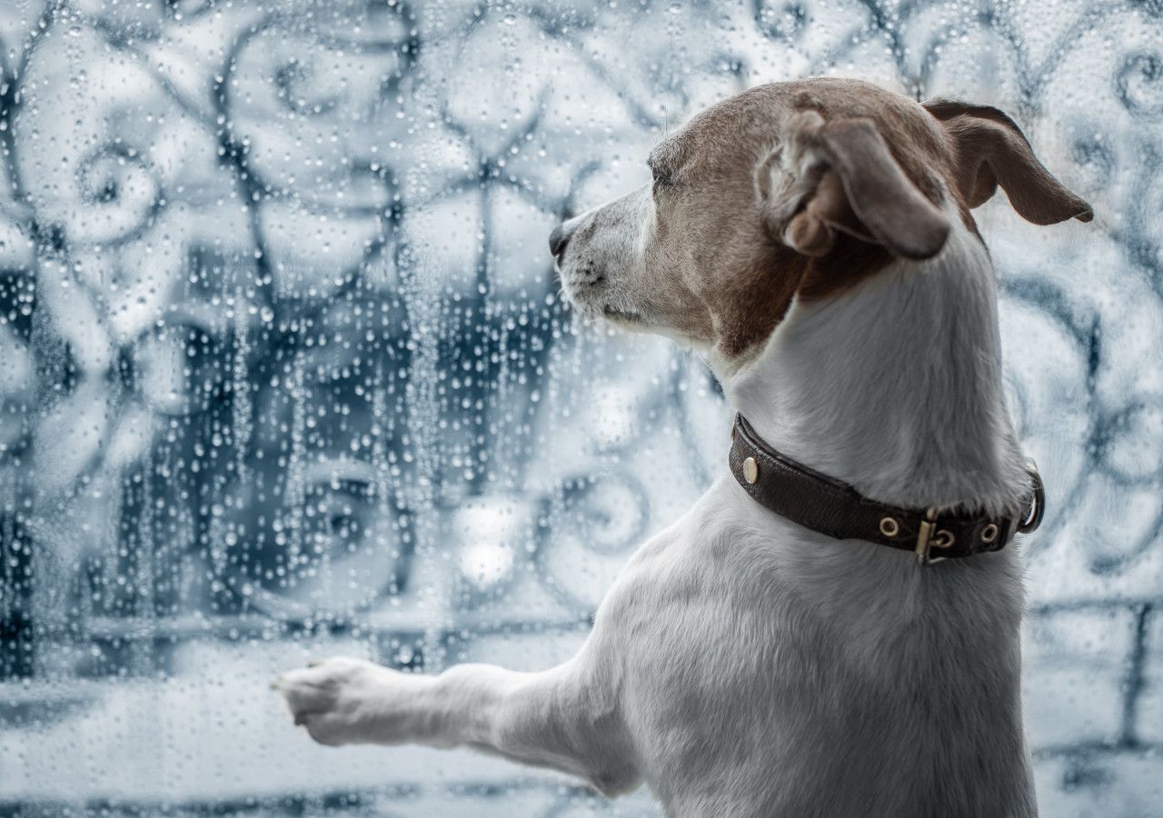The UK Weather Outlook For The Rest Of December 2022 The UK Weather Outlook For The Rest Of December 2022