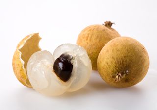 Longan – Das „Drachenauge“ und seine überraschenden Gesundheitsvorteile