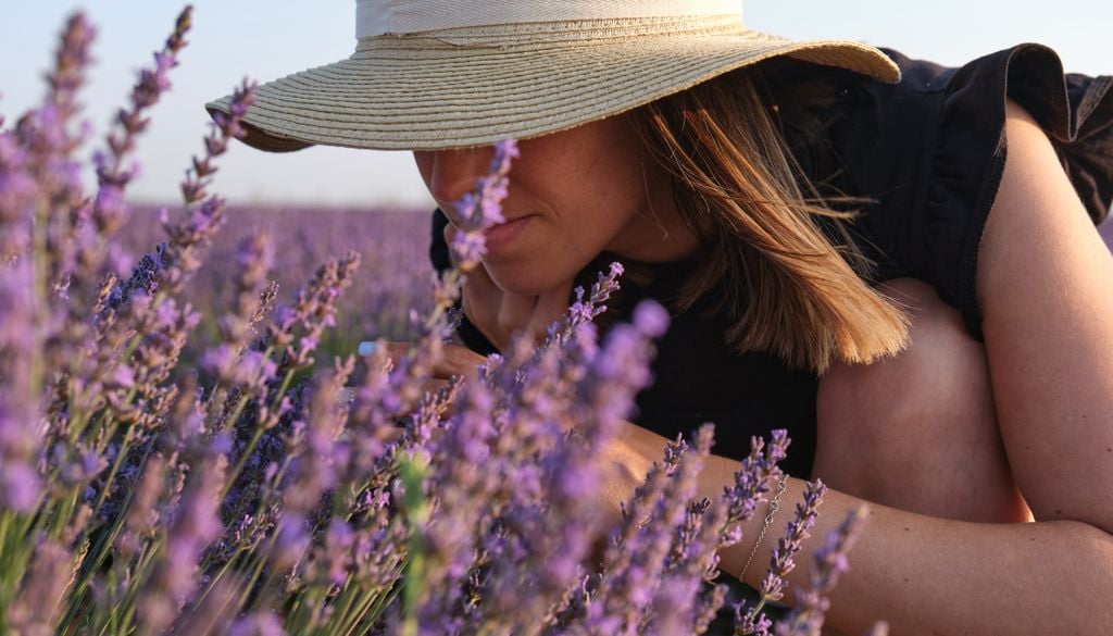Con una corretta manutenzione, potrai godere del tuo arbusto di lavanda fino a dieci anni.