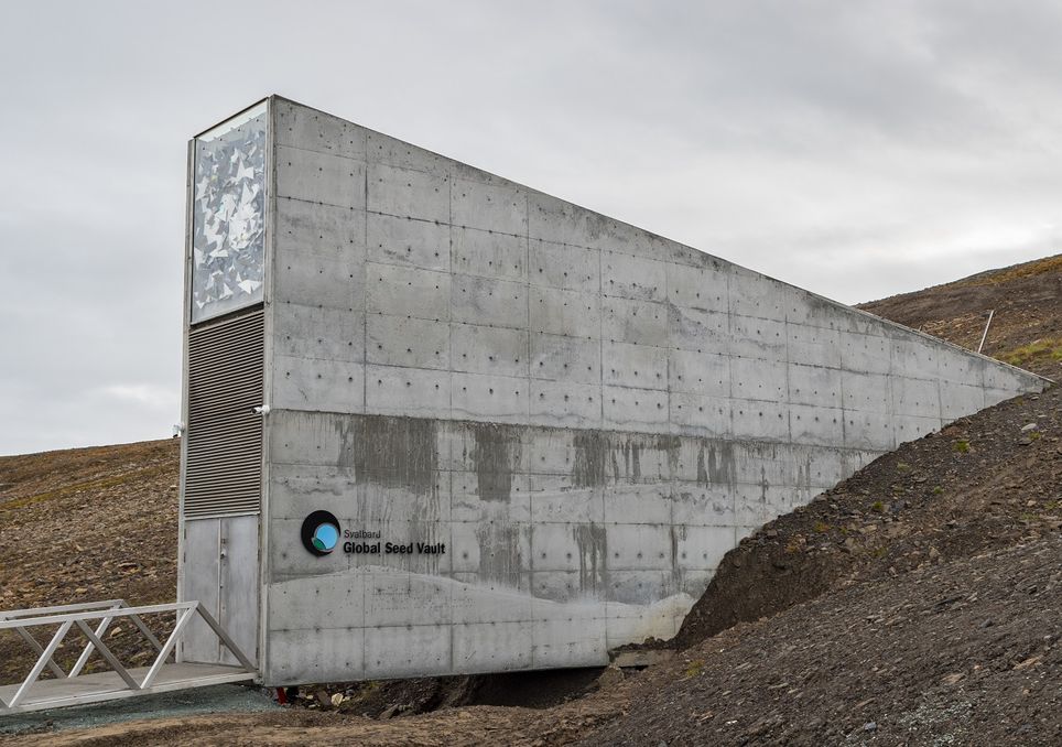 Svalbard; banco mundial de semillas Svalbard; banco mundial de semillas