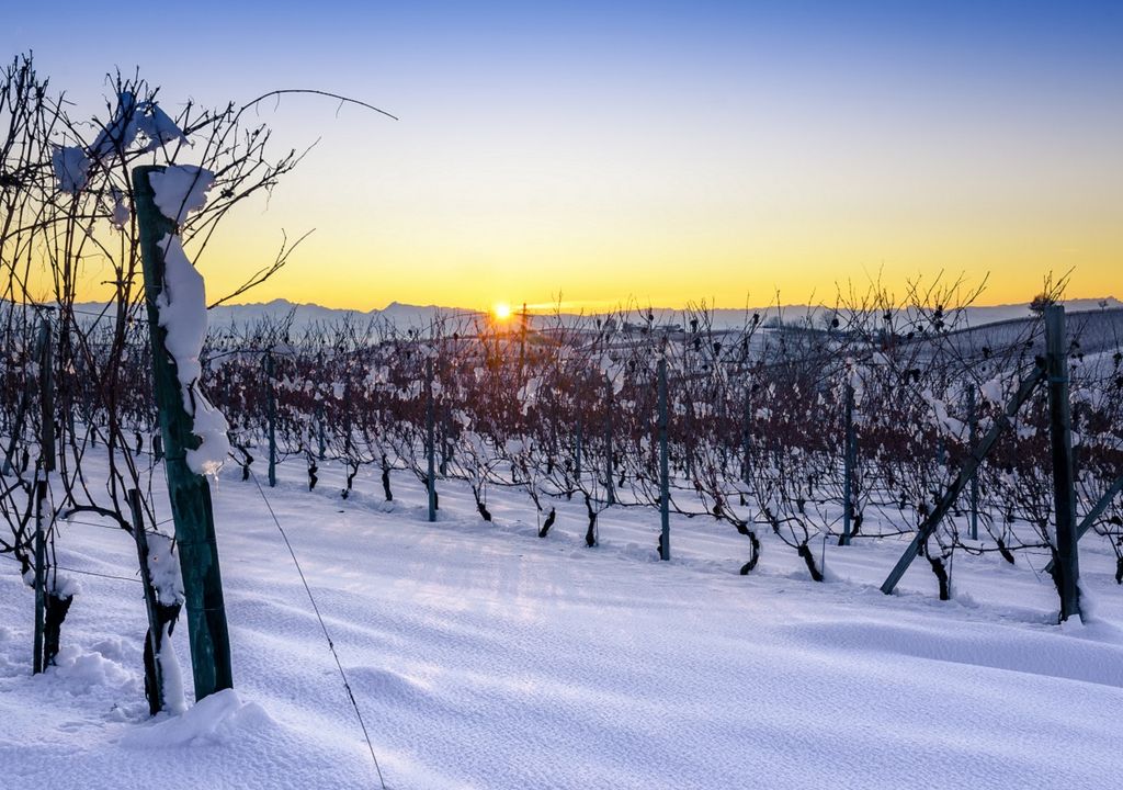 Los 5 beneficios y propiedades de la nieve que no conocías