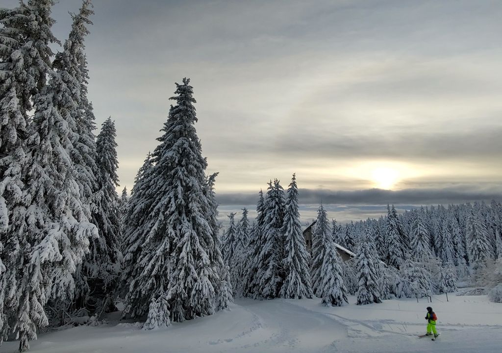 Los 5 beneficios y propiedades de la nieve que no conocías