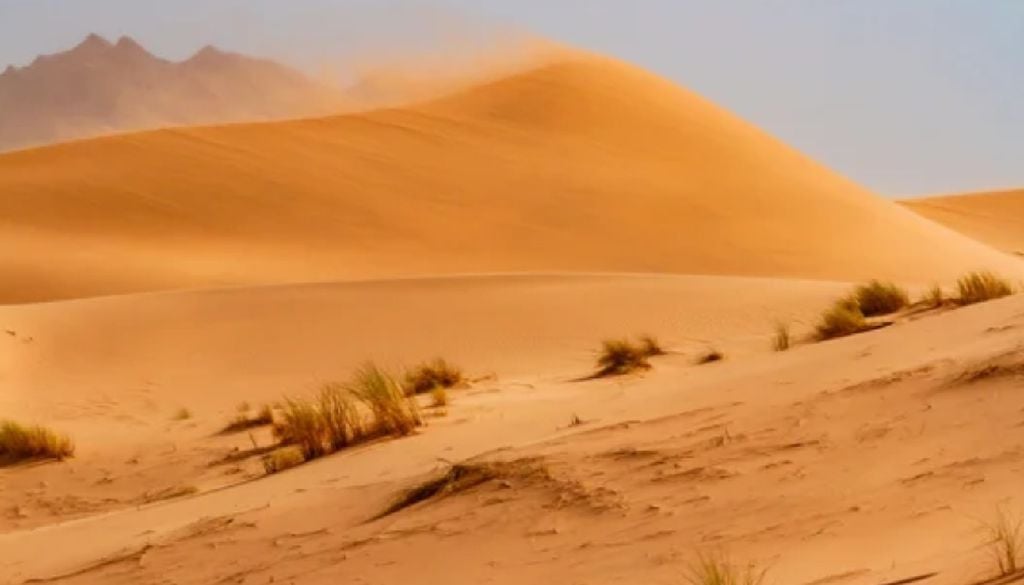 Uno de los grandes atractivos del desierto chihuahuense son sus médanos. Uno de los grandes atractivos del desierto chihuahuense son sus médanos.