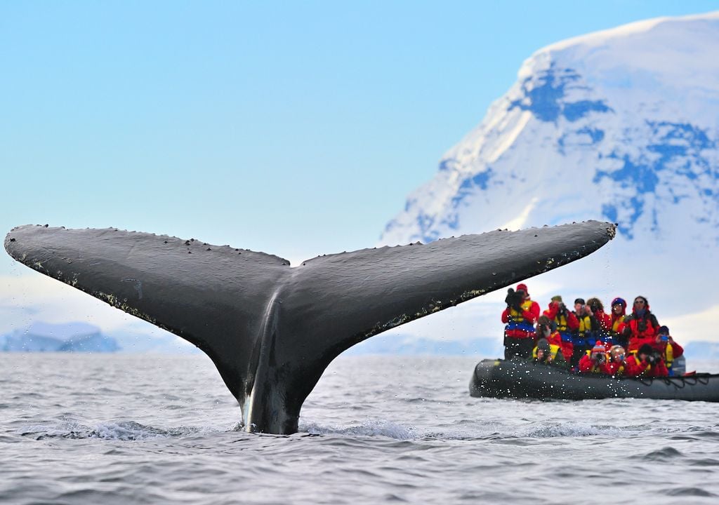 La afluencia masiva de turistas y el cambio climático son las grandes amenazas de la Antártida.