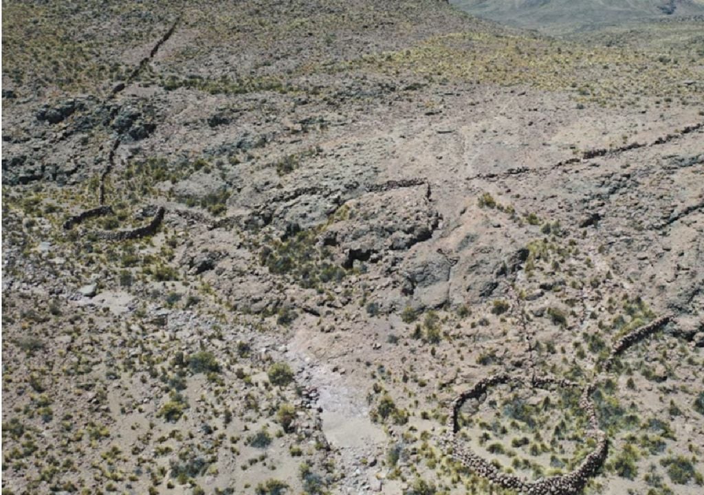 trampas de caza de chacu