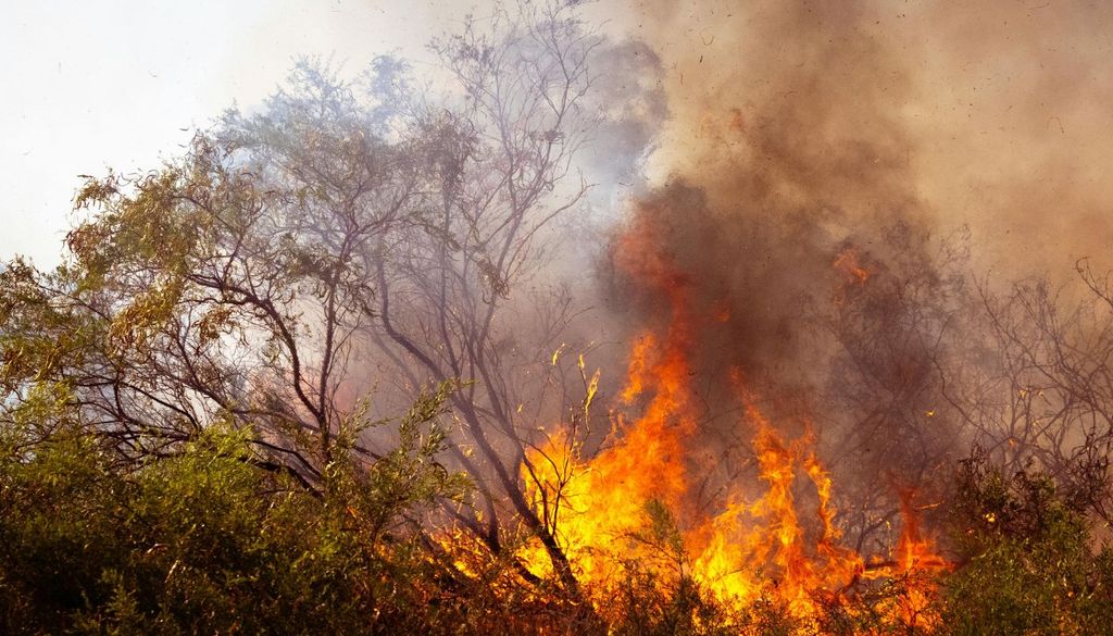 as sucesivas olas de calor, el acusado déficit hídrico y los frecuentes episodios de viento intenso han favorecido incendios de comportamiento extremo