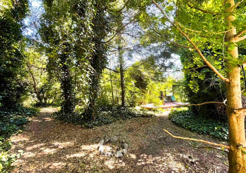 Bosque Peralta Ramos