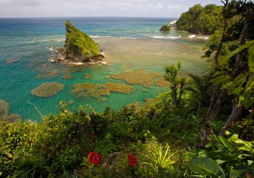 Los 5 mejores lugares del mundo para viajar en 2026, según National Geographic