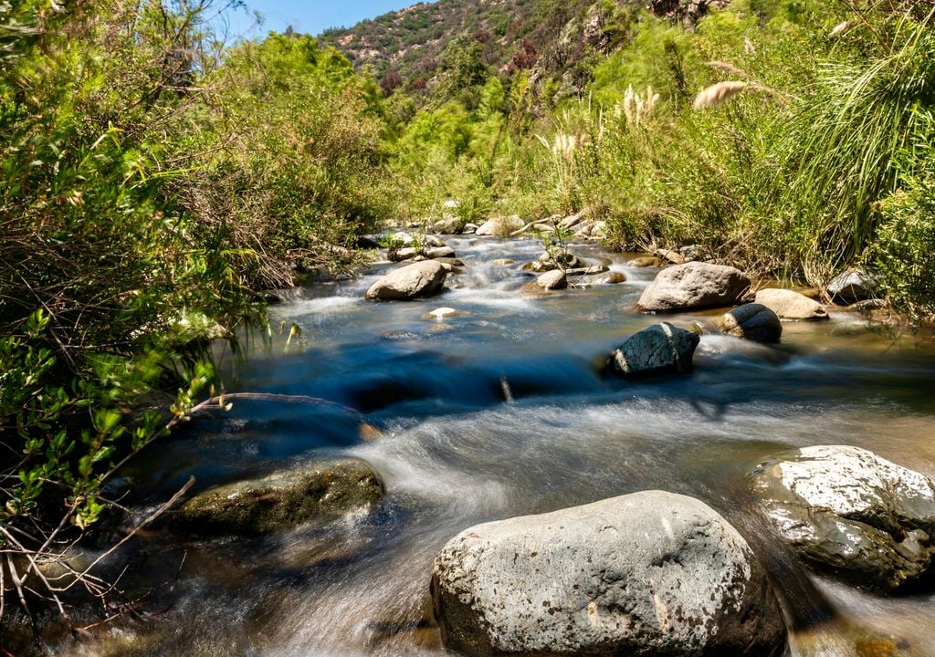 El Parque Nacional Río Clarillo es perfecto para una escapada a la naturaleza desde la capital.