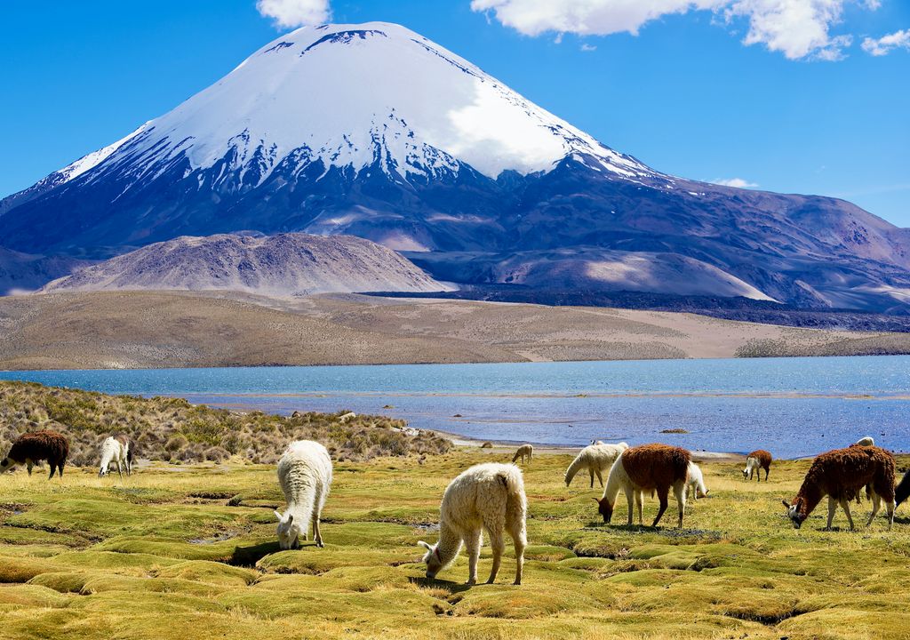 Parque Nacional Lauca, Arica y Parinacota.