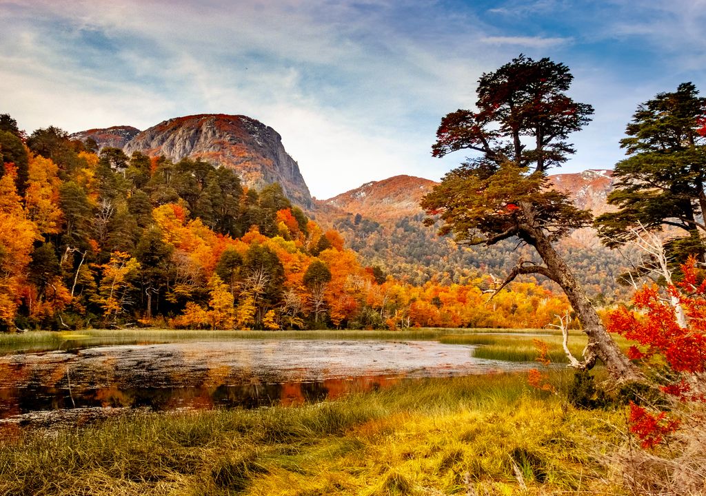 Parque Nacional Villarrica, La Araucanía, Chile.