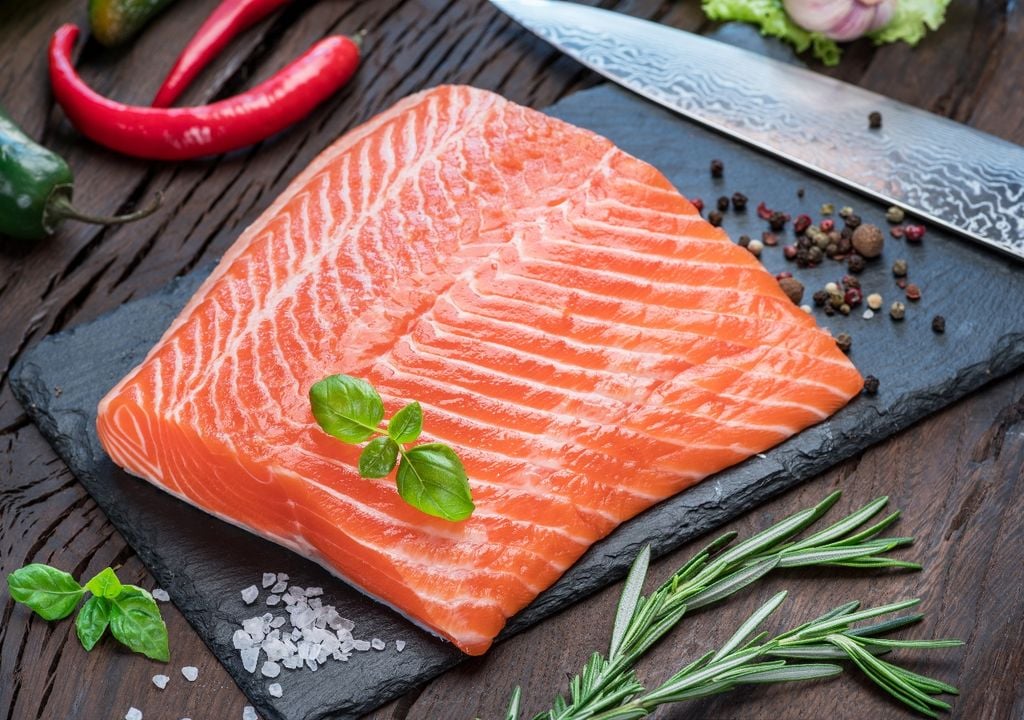 salmão salmão