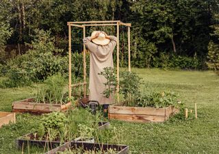 Los 7 errores fatales al empezar un huerto en casa y cómo solucionarlos