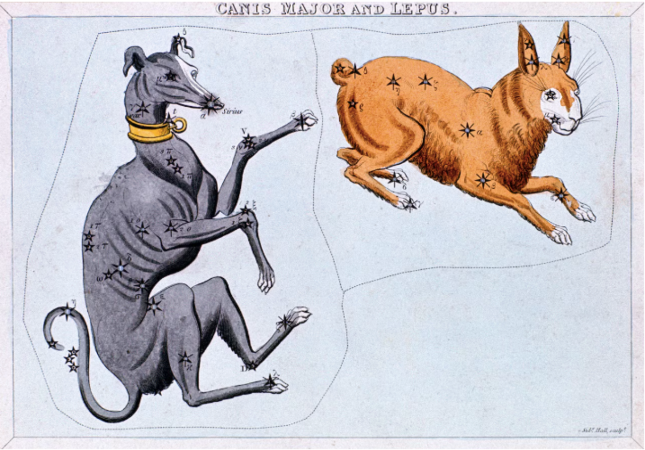 Los antiguos griegos observaron que Siro —a la que llamaban la "estrella perro" por ser la estrella más brillante de la constelación del Can Mayor— parecía salir junto al Sol a finales de julio. Fotografía de Ann Ronan Pictures, Print Collector/Getty.