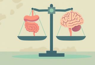 Los arándanos podrían mejorar la inmunidad y la salud intestinal de los más pequeños del hogar