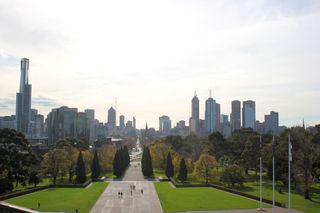 Los árboles reducirían en un tercio la mortalidad de las olas de calor