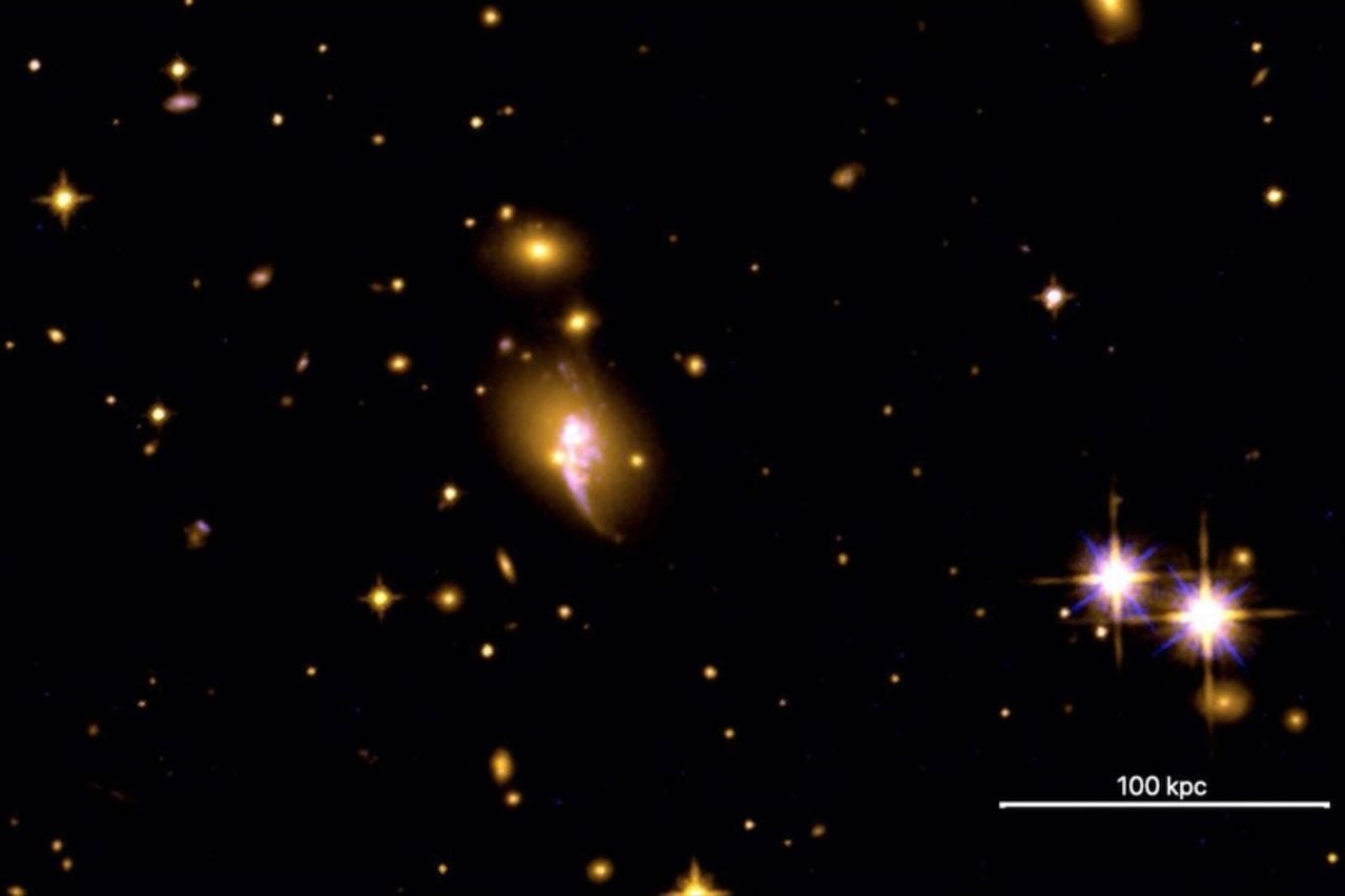 Imagen del Hubble del cúmulo de galaxias CHIPS1911+4455. Crédito: NASA / ESA / Equipo Hubble Heritage.