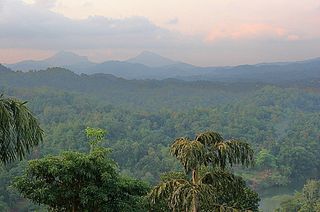 Los bosques tropicales y cambio climático