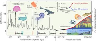 Los cambios de temperatura y los eventos de extinción masiva