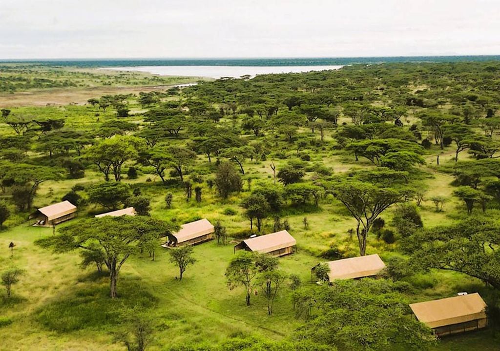Africa Safari Serengeti Ikoma Camping, en Tanzania Africa Safari Serengeti Ikoma Camping, en Tanzania
