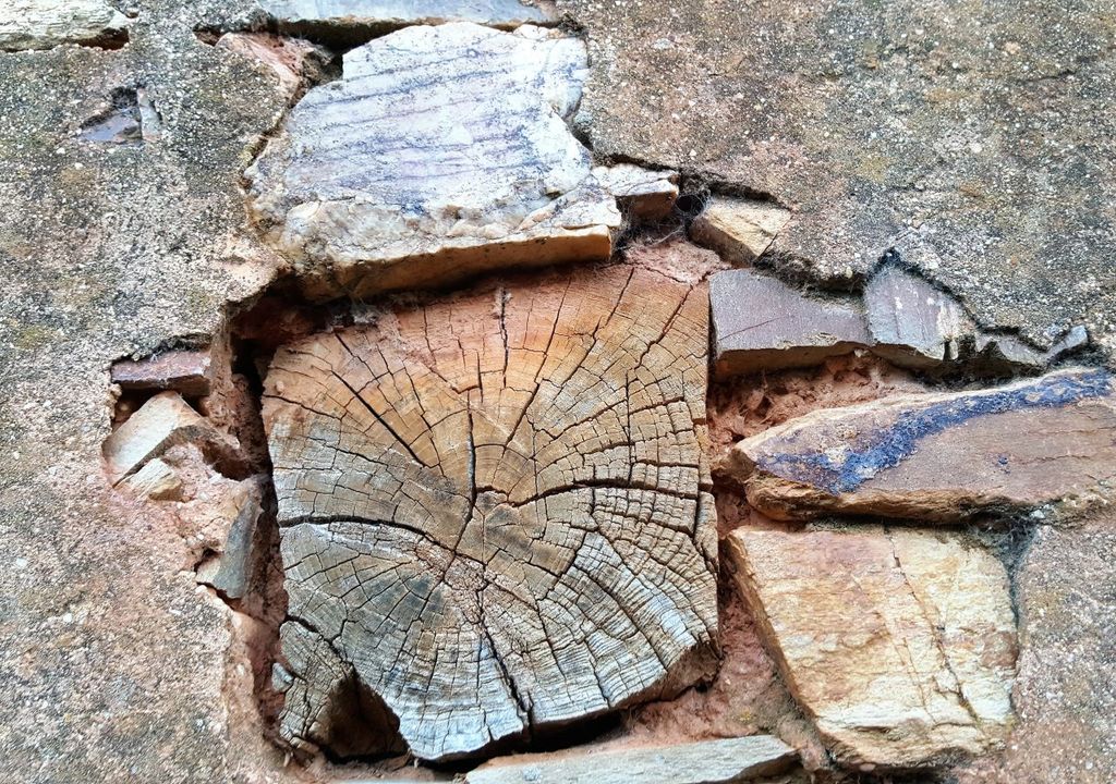 madera, cambio climatico madera, cambio climatico